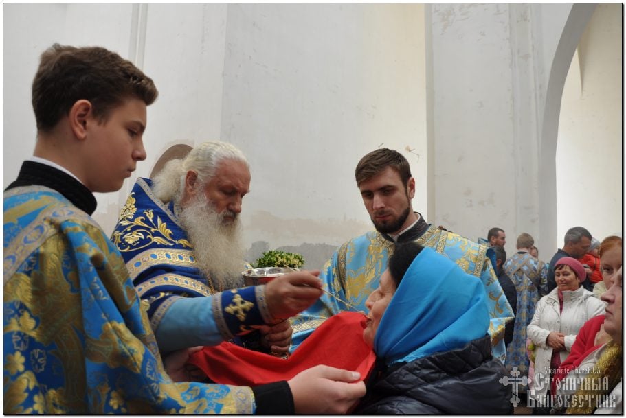 Image-33