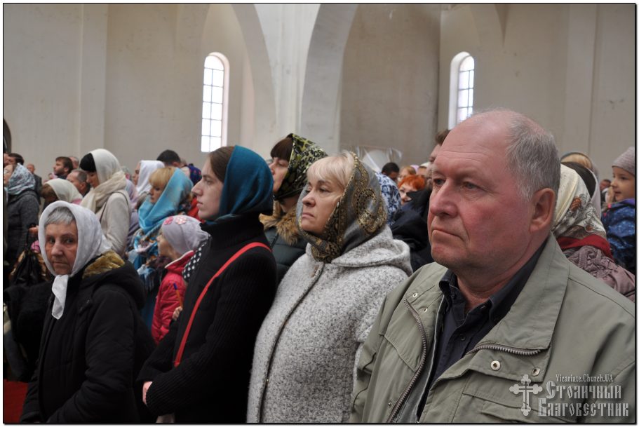 Image-35