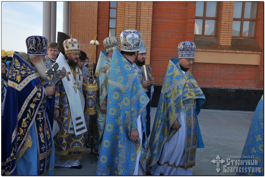 Image-41