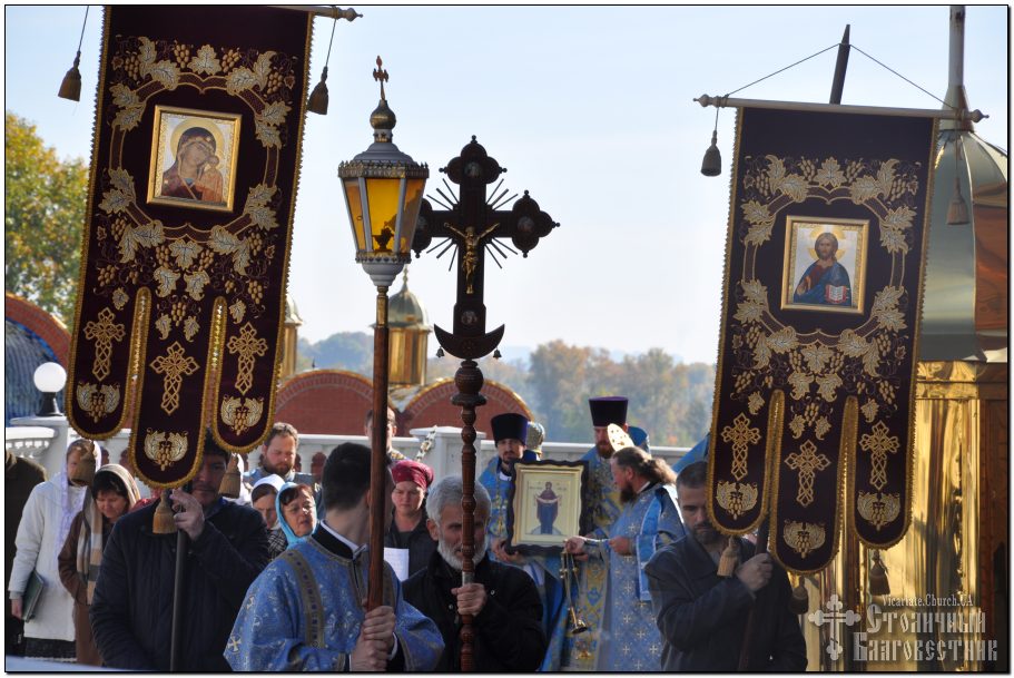 Image-47